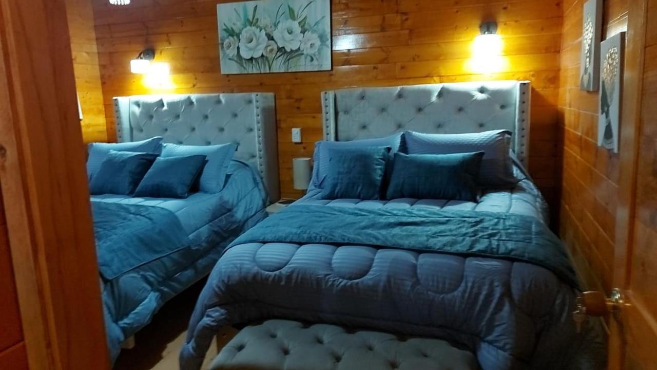 Villa Evelia Aquitania Dış mekan fotoğraf