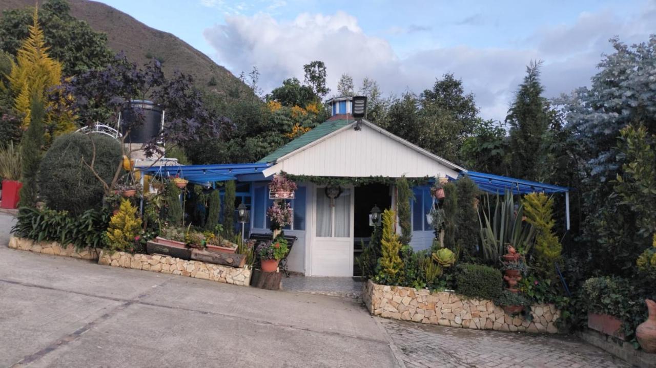 Villa Evelia Aquitania Dış mekan fotoğraf