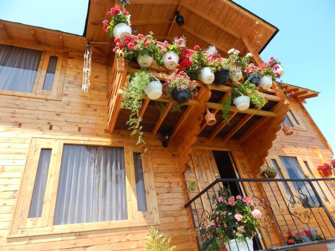 Villa Evelia Aquitania Dış mekan fotoğraf